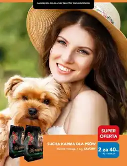 AquaelZOO Sucha karma dla psów SAVORY oferta