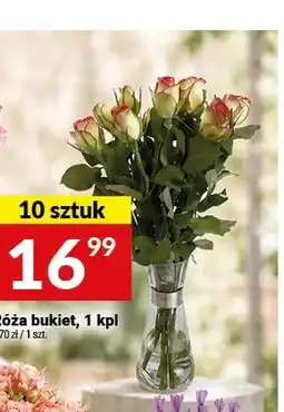 Twój Market Róża bukiet oferta