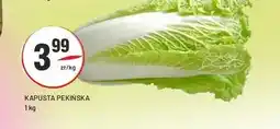 Sedal Kapusta pekińska oferta