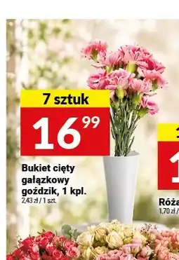 Twój Market Bukiet cięty gałązkowy goździk oferta