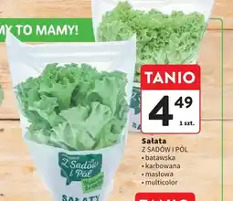 Intermarche Sałata batawska Z Sadów i Pól oferta