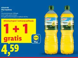 Lidl Olej VITA D'OR oferta
