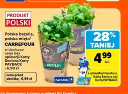 Carrefour Market Bazylia Carrefour oferta