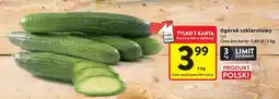 Intermarche Ogórek szklarniowy polski luz oferta