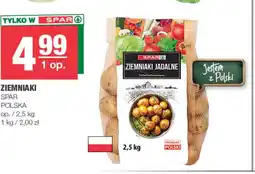 EuroSPAR Ziemniaki SPAR oferta