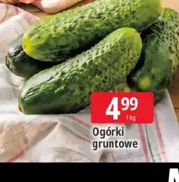 E.Leclerc Ogórki oferta