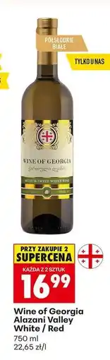 Biedronka Wine of Georgia Alazani Valley White / Red oferta