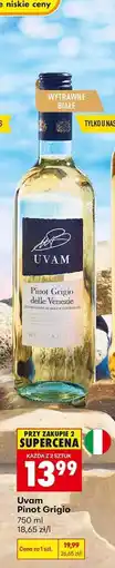 Biedronka UVAM PINOT GRIGIO oferta