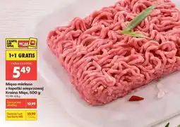 Biedronka Mięso mielone z łopatki wieprzowej Kraina Mięs 500 g oferta