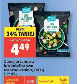 Biedronka Zupa jarzynowa lub kalafiorowa Mroźna Kraina , 750 g oferta