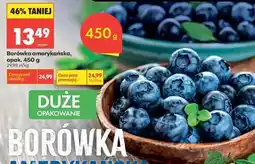 Biedronka Borówka amerykańska, opak. 450 g oferta