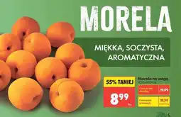 Biedronka Morela oferta