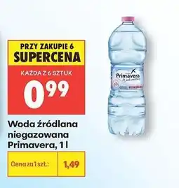 Biedronka Woda źródlana niegazowana Primavera, 1 l oferta
