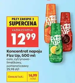 Biedronka Koncentrat napoju Fizz Up, 500 ml oferta