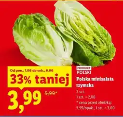 Lidl Polska minisałata rzymska oferta