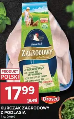 Stokrotka KURCZAK ZAGRODOWY Z PODLASIA oferta