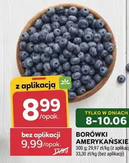 Stokrotka Borówki Amerykańskie oferta