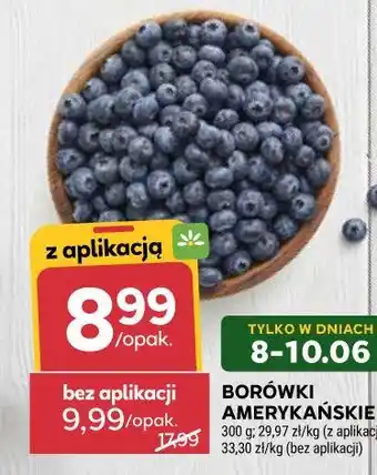 Stokrotka Borówki Amerykańskie oferta