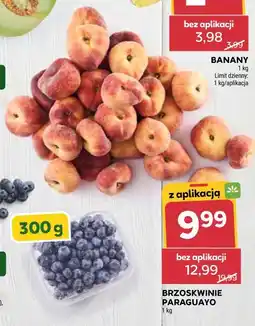 Stokrotka Brzoskwinie Paraguayo oferta