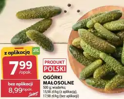Stokrotka Ogórki Małosolne oferta