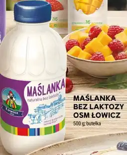 Stokrotka MAŚLANKA BEZ LAKTOZY OSM ŁOWICZ oferta