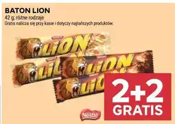 Stokrotka Baton Lion oferta