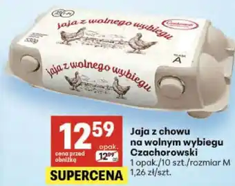 Delikatesy Centrum Jaja z chowu na wolnym wybiegu Czachorowski oferta