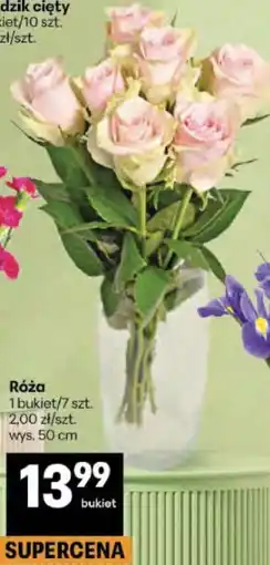 Delikatesy Centrum Róża oferta