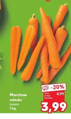 Kaufland Marchew młoda luzem oferta