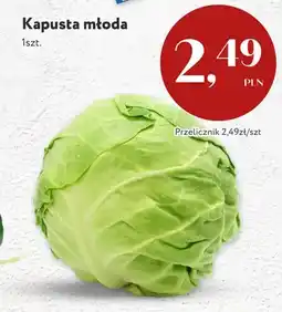 Market Point Kapusta młoda oferta