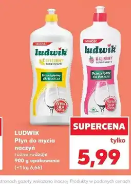 Kaufland Płyn do mycia naczyń Ludwik Cytrynowy oferta