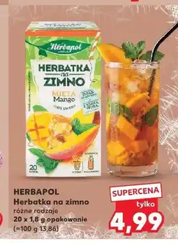 Kaufland Herbatka na zimno Herbapol Mięta Mango oferta