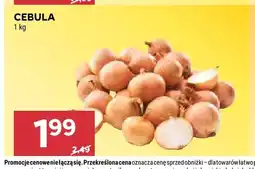Stokrotka Cebula oferta