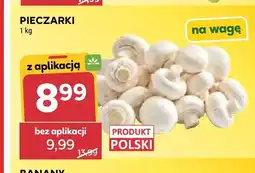 Stokrotka Pieczarki polskie oferta