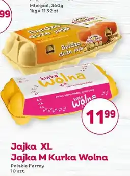 Bliski Jajka XL Bardzo duże jaja Polskie Fermy oferta