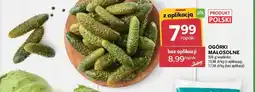 Stokrotka Ogórki małosolne polskie oferta