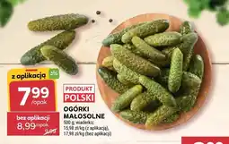 Stokrotka Ogórki małosolne polskie oferta