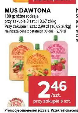 Stokrotka Mus Dawtona brzoskwinia oferta