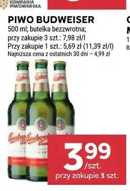 Stokrotka Piwo Budweiser Budvar Original oferta