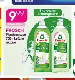 Koliber drogerie Płyn do naczyń Frosch oferta