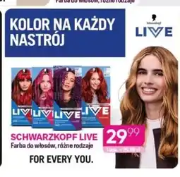 Koliber drogerie Farba do włosów Schwarzkopf Live oferta