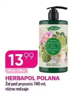 Koliber drogerie Żel pod prysznic Herbapol Polana oferta