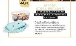 Tchibo Pojemnik z wkładem chłodzącym przezroczysto-jasnoturkusowy ok. 14,1x10,4x23,1cm oferta