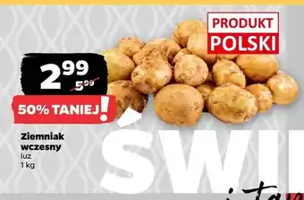 Ziemniak wczesny polski