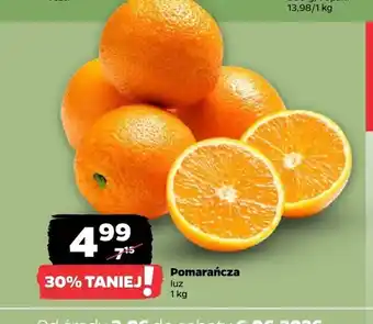 Netto Pomarańcza luz oferta