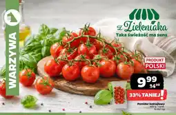 Netto Pomidor koktajlowy polski oferta