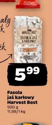 Netto Fasola jaś karłowy Harvest Best oferta