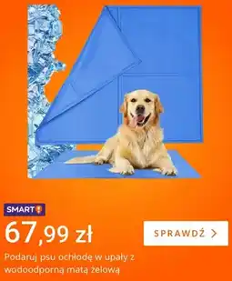 Allegro Wodoodporna mata żelowa dla psa oferta
