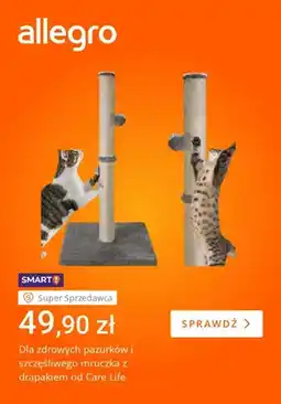 Allegro Drapak Care Life oferta