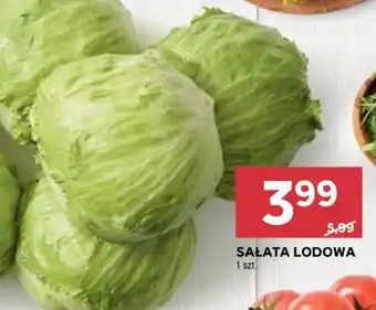 Stokrotka Market Sałata lodowa oferta